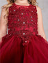 Girls Multi Color Illusion Neckline Lace Applique Trim Pageant Dress 2-12 - SophiasStyle.com